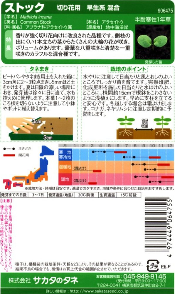 アテマハック✖️ザラゴーサspノバ　親株　抜き苗　札付き Amazon | サカタのタネ 実咲花6475 ストック 切り花用早生系混合